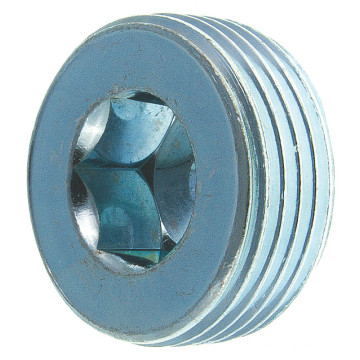 Hex Socket Plug Screw DIN 906